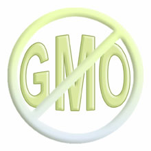 Say No To GMOs!