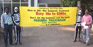 Pasuami Thaayagam banner