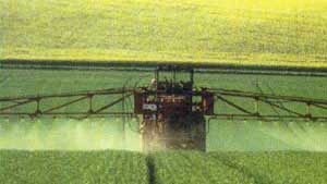 spraying fields