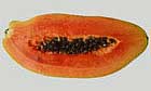 papaya