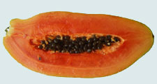 papaya