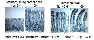 toxic reactions in digestive tract